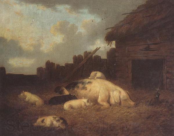 George Morland A Sow and Her Piglets in a Farmyard Spain oil painting art
